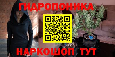 прущие крисы Нарткала