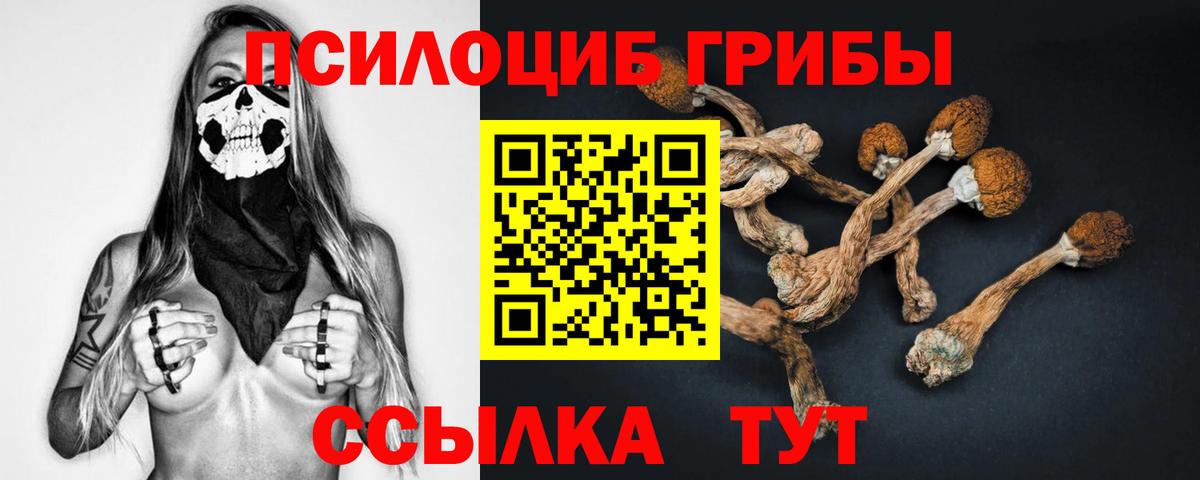 Саратов  Меф МЯУ МЯУ  Вход с VPN  МЕФ кристаллы  Кетамин  Метадон  Конопля  A PVP СОЛЬ кристаллы  Наркошоп  КОКАИН 